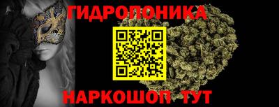 молекула духа Будённовск