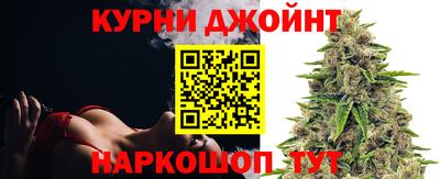 молекула духа Будённовск