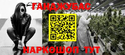 молекула духа Будённовск