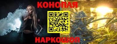 молекула духа Будённовск