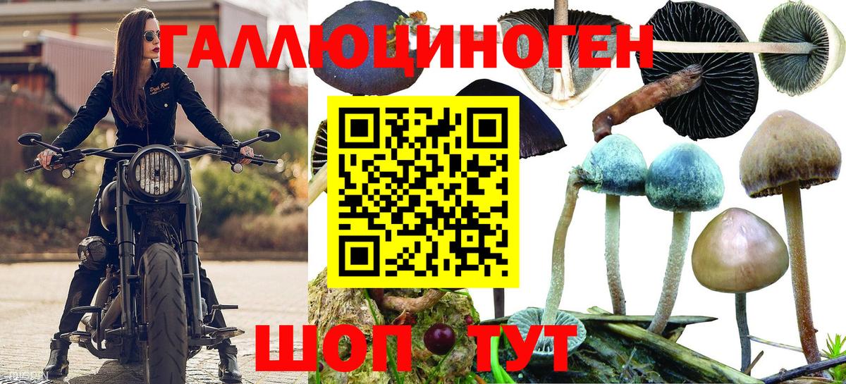 Южно-Сахалинск  Галлюциногенные грибы Psilocybine cubensis  Вход с VPN 